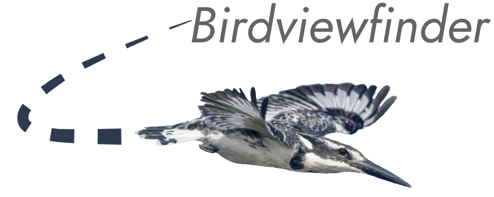 Birdviewfinder Logo V3
